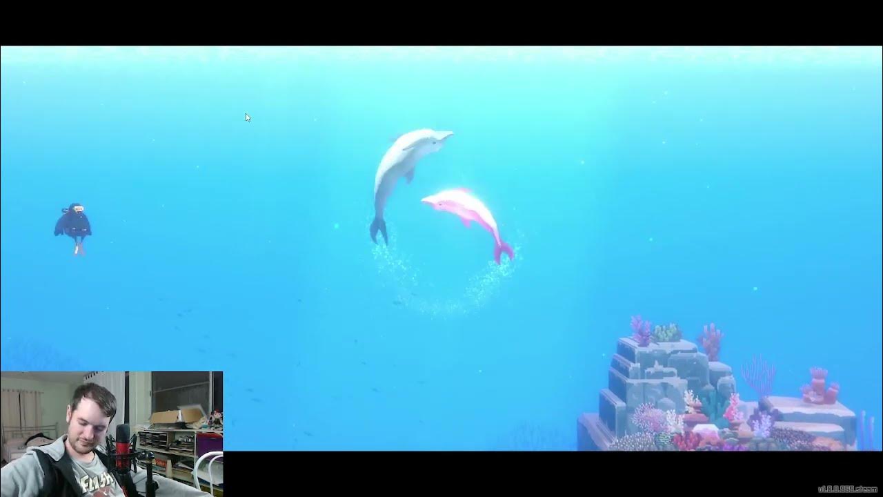 DOLPHIN PIRATES (Dolphin Quest 2) (Dave the Diver) YouTube