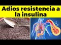 13 Poderosos Alimentos Para Revertir la Resistencia a la Insulina