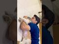 Dog lover , shitzu #love #vishaljethwa
