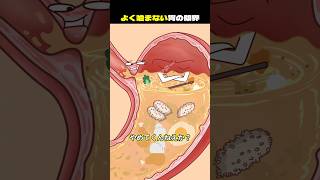 よく噛まない胃の限界