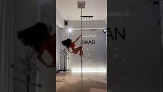 [폴댄스 | Poledance] 8년차의 폴댄싱💃