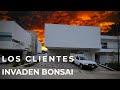 LOS CLIENTES INVADEN BONSAI | CASA BONSAI