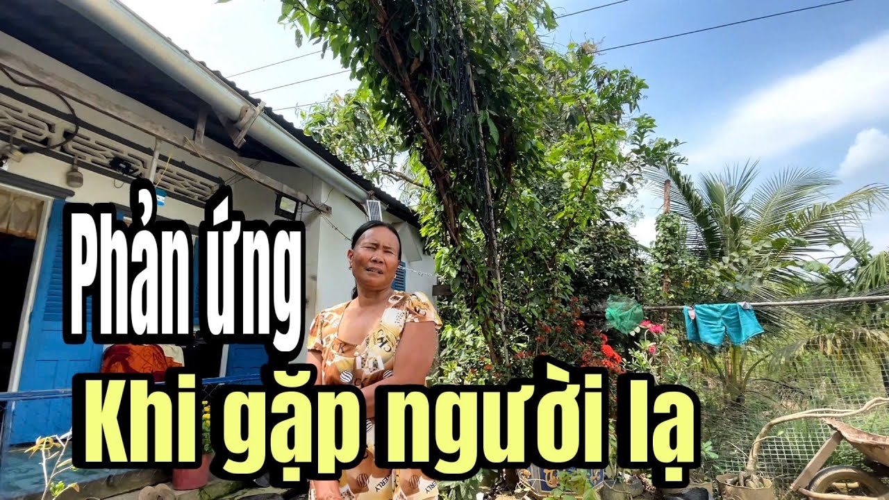 Tiếp Tục Phát Tiền Lì Xì Của Chị Ái Bùi Đến Tay Bà Con Nghèo 