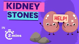 Kidney stones - causes, types & symptoms | in 2 mins!