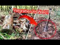 Verborgen im Waldboden: Schatzsuche bringt altes Müllloch mit kuriosen Funden (Sondeln)