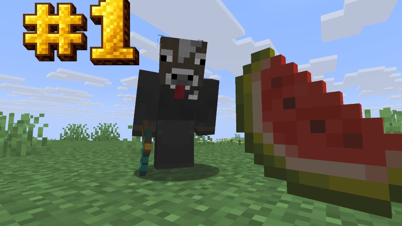 Becoming the #1 Melon Farmer on My Minecraft Server - YouTube
