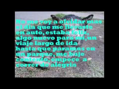 CARTA PARA MI MEJOR AMIGO.mpg - YouTube