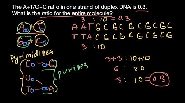 How to solve genetics problems using Chargaff’s rules