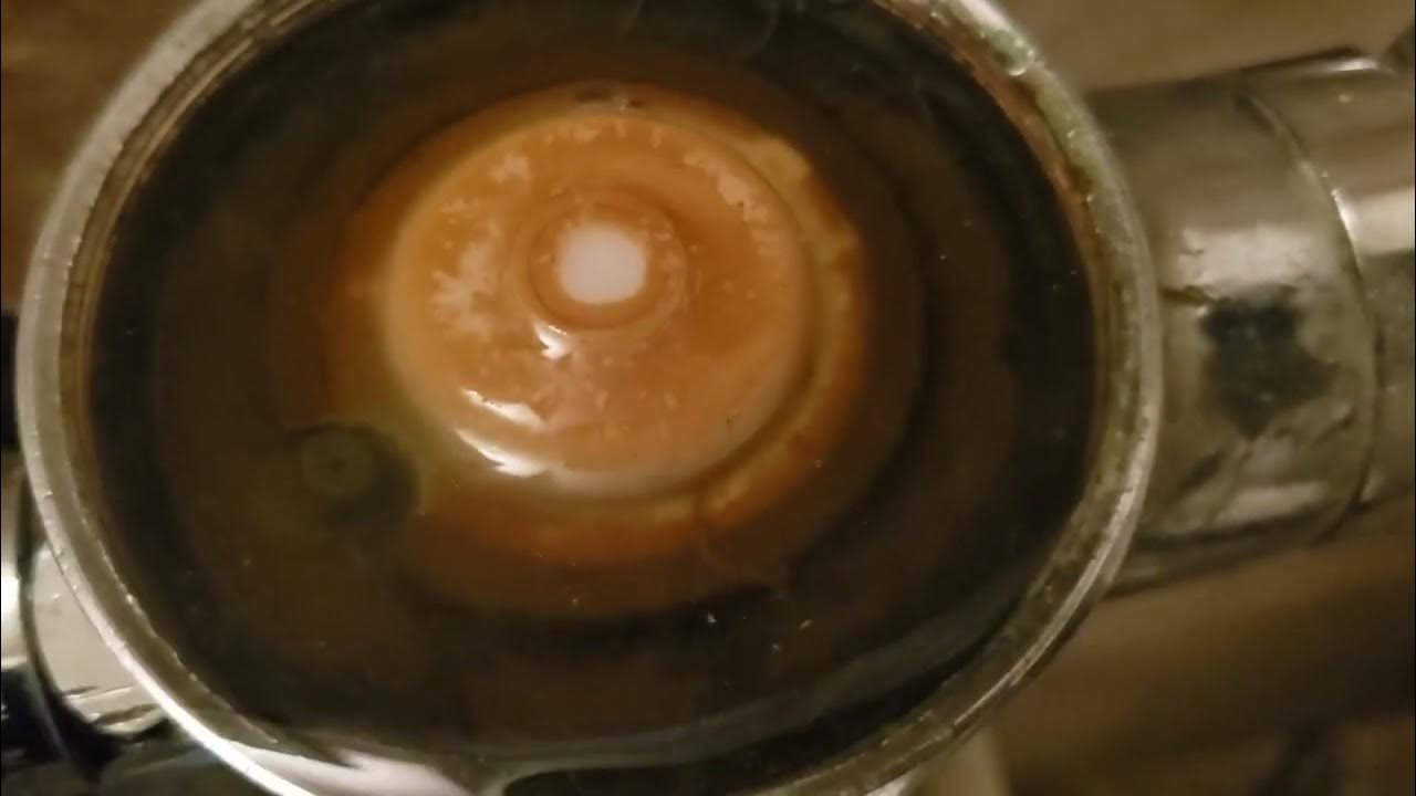 How to fix your bathroom Rex Flushometer. YouTube