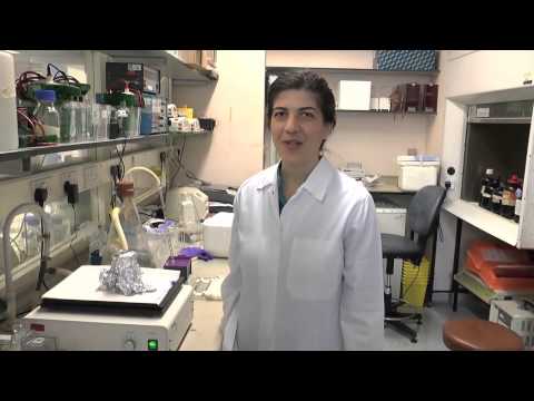 Bohemian Rhapsody (aka "The tale of a Post Doc") - Laboratory Parody