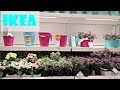 IKEA ВЕСНА 2018 / ЦВЕТЫ / Офелия