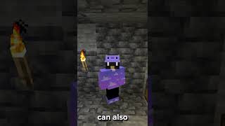 Simply optimized. #fyp #optimization #minecraft #modpack #minecraftmodpack #modrinth