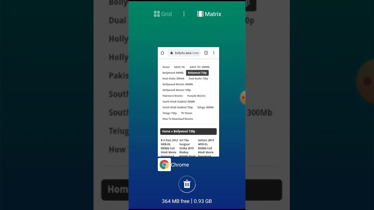 WHEN DOES DOG COME OUT