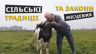 видео: Прибираємо буряк та пліткуємо про місцевих. картинка: Прибираємо буряк та пліткуємо про місцевих.