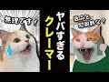コールセンターのバイトしたらヤバすぎる奴に絡まれた件【漫才】【コント】 【猫アニメ】
