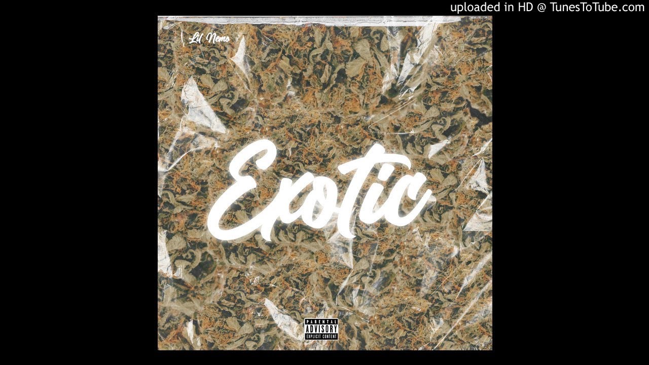 Guarda Slime Nemo - Exotic (Official Audio) su YouTube Guarda Slime Nemo - Exotic (Official Audio) su YouTube