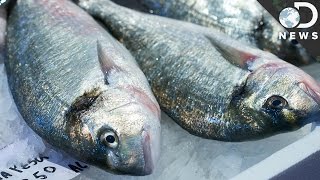 How Does Mercury Get Into Fish?