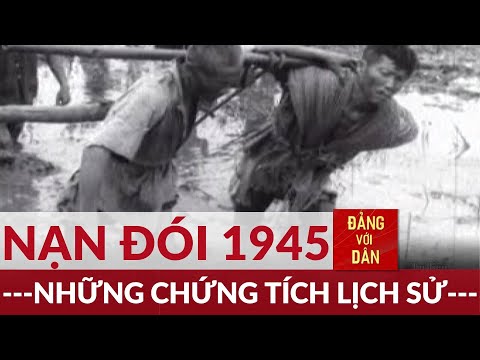 Video: Làm thế nào để sống một cuộc sống hạnh phúc (có hình ảnh)