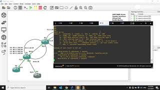 OSPF From Basics to Professional