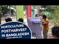 Postharvest technologies for horticulture in bangladesh