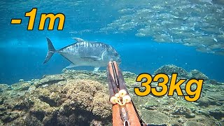 Fishereman vs Giant Trevally in shallow water