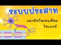 ระบบประสาท (การทำงานของเซลล์ประสาท) Mp3 Song