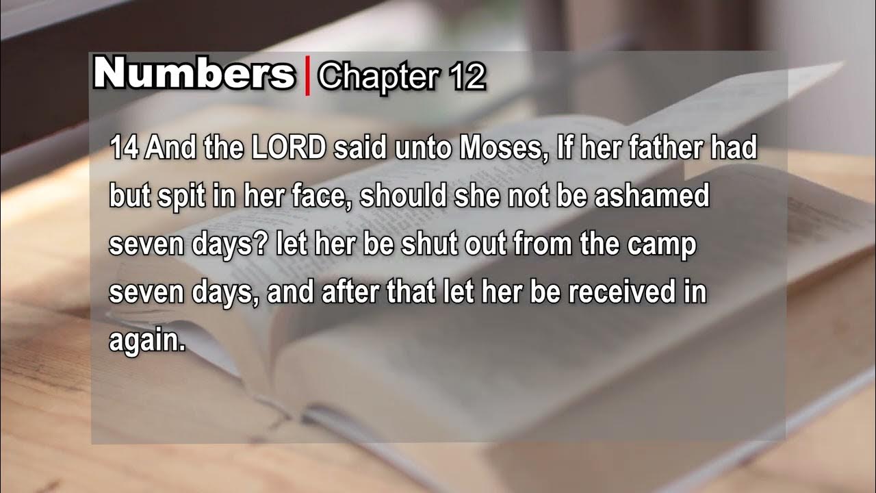 Numbers Chapter 12 kjv YouTube
