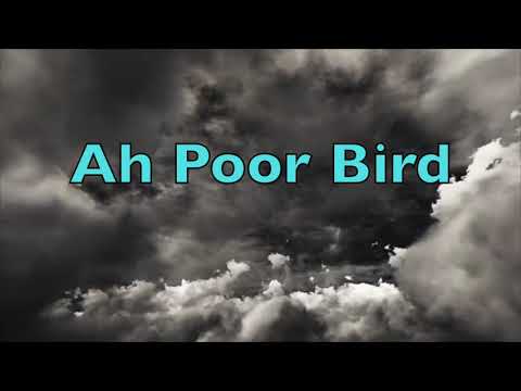 Ah poor bird