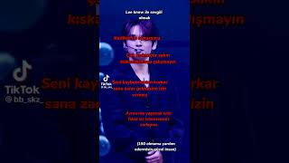 Lee Know Ile Sevgili Olmak