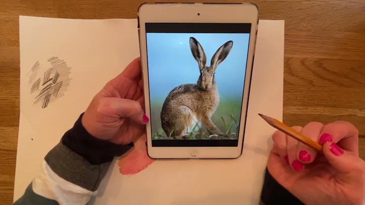 Vicki Davidson - How to Draw.mp4
