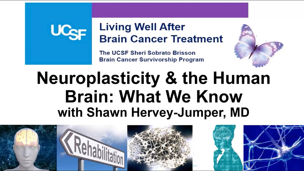 Neuroplasticity & the Human Brain: What We Know