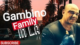 Gambino Family in LA and White Collar Crimes | Derek Galanis