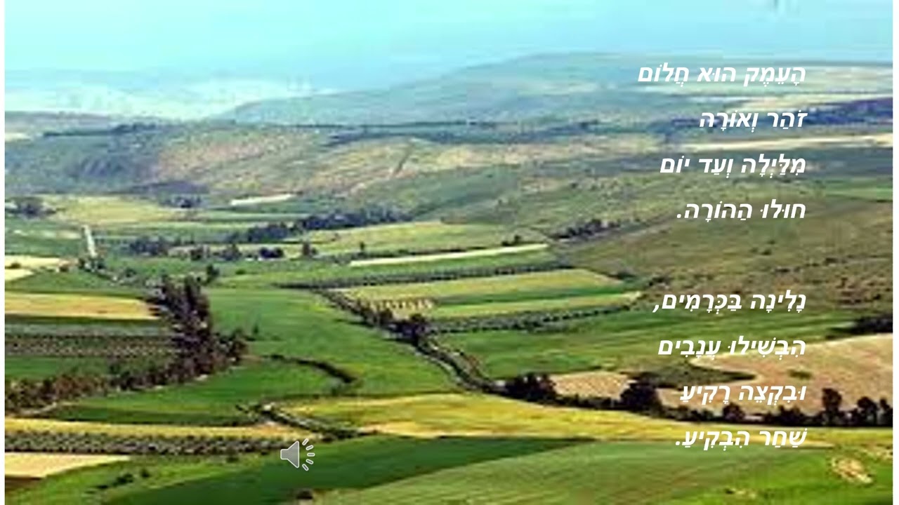 העמק הוא חלום