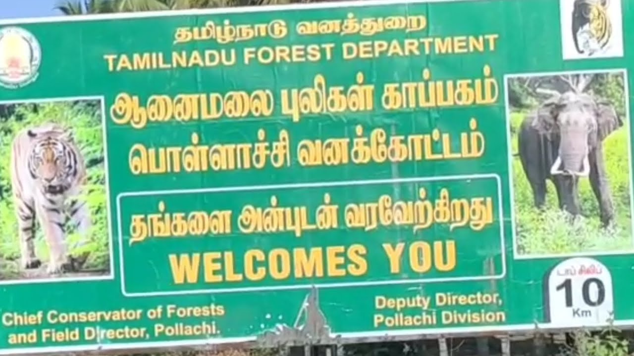 Anamalai Tiger Resort / Tamilnadu 2025