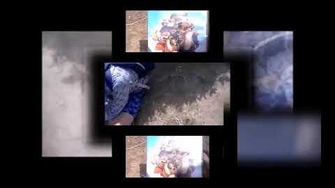 (REQUESTED) New Video DJ Scan V4 (Veg Replace)