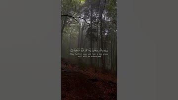لا تَنسوا ذكِر الله سبحانه ... القارئ عباس جاسم ( سورة الأنسان )