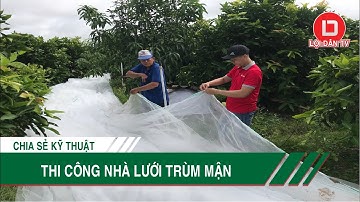 Lợi Dân TV| Hướng Dẫn Thi Công Nhà Lưới Trùm Mận Nhanh Gọn | Lưới Chắn Côn Trùng Vườn Mận