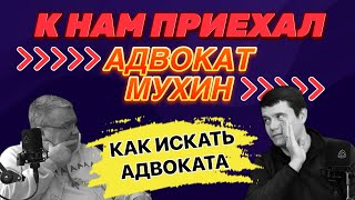 Как правильно искать адвоката