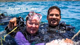 Discover Scuba in Waikiki with Aloha Scuba Diving