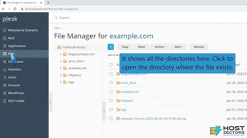 How to edit a file in the Plesk File Manager   HostSectors