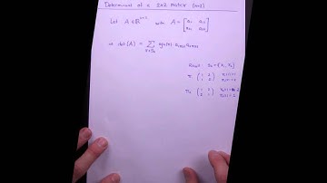 Applied Linear Algebra, Lesson 16, Video 17: Use Permutations to define 2-by-2 Determinant