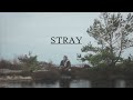 STRAY