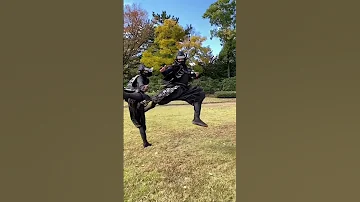 Ninja Nagoyacastle Performance Hattorihanzo 
