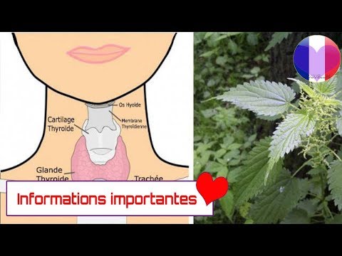 Vidéo: 15 Plantes Pour Aider à Normaliser La Fonction Thyroïdienne