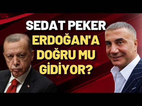 Sedat Peker, Erdoğan'a doğru mu gidiyor?