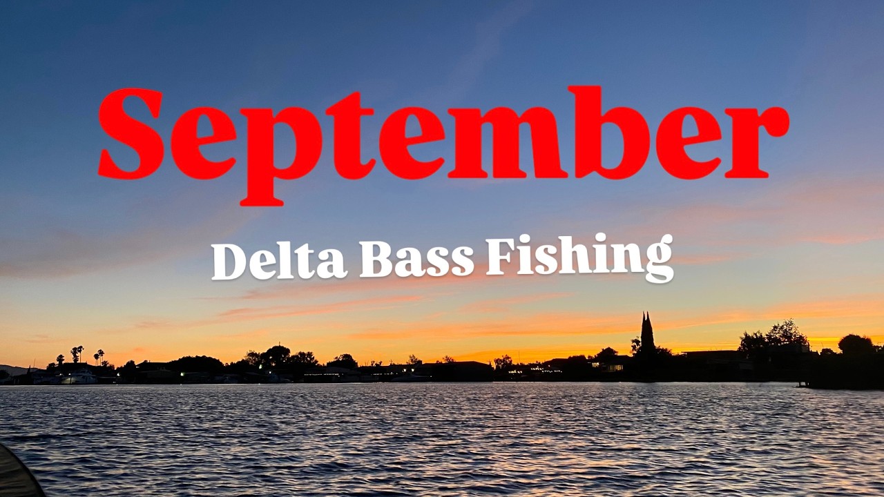 September Delta Bass Fishing