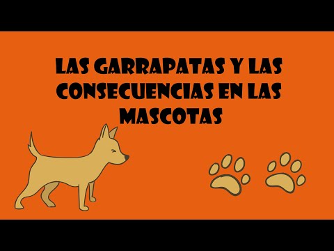 Video: Guía: Las Poblaciones Masivas De Garrapatas Pueden Amenazarlo A Usted Y A Su Mascota