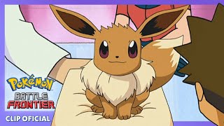 ¡Eevee eclosiona! | Pokémon: Battle Frontier | Clip oficial