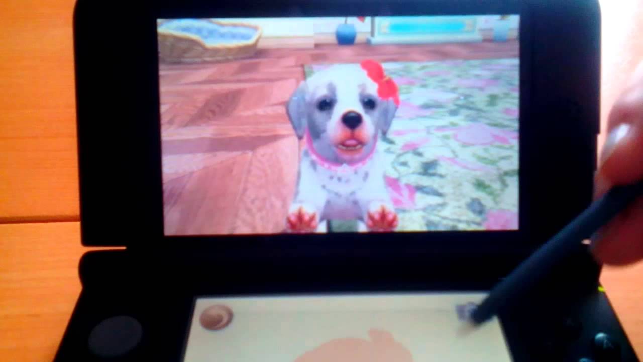 comment dresser son chien nintendogs