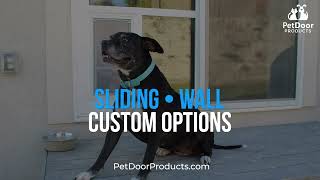 Phoenix Pet Door Free Quote and Consultation